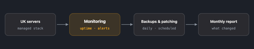 Infrastructure managed alongside the application: UK servers, monitoring that raises the alarm before you do, scheduled patching and daily backups, and a monthly report of what actually changed.
