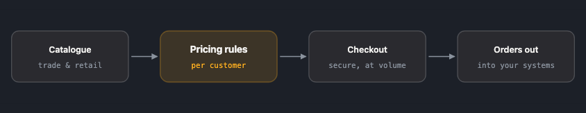 Where standard shop software stops coping: pricing that differs per customer, checkout that handles volume, and orders that land in the systems behind the shop.